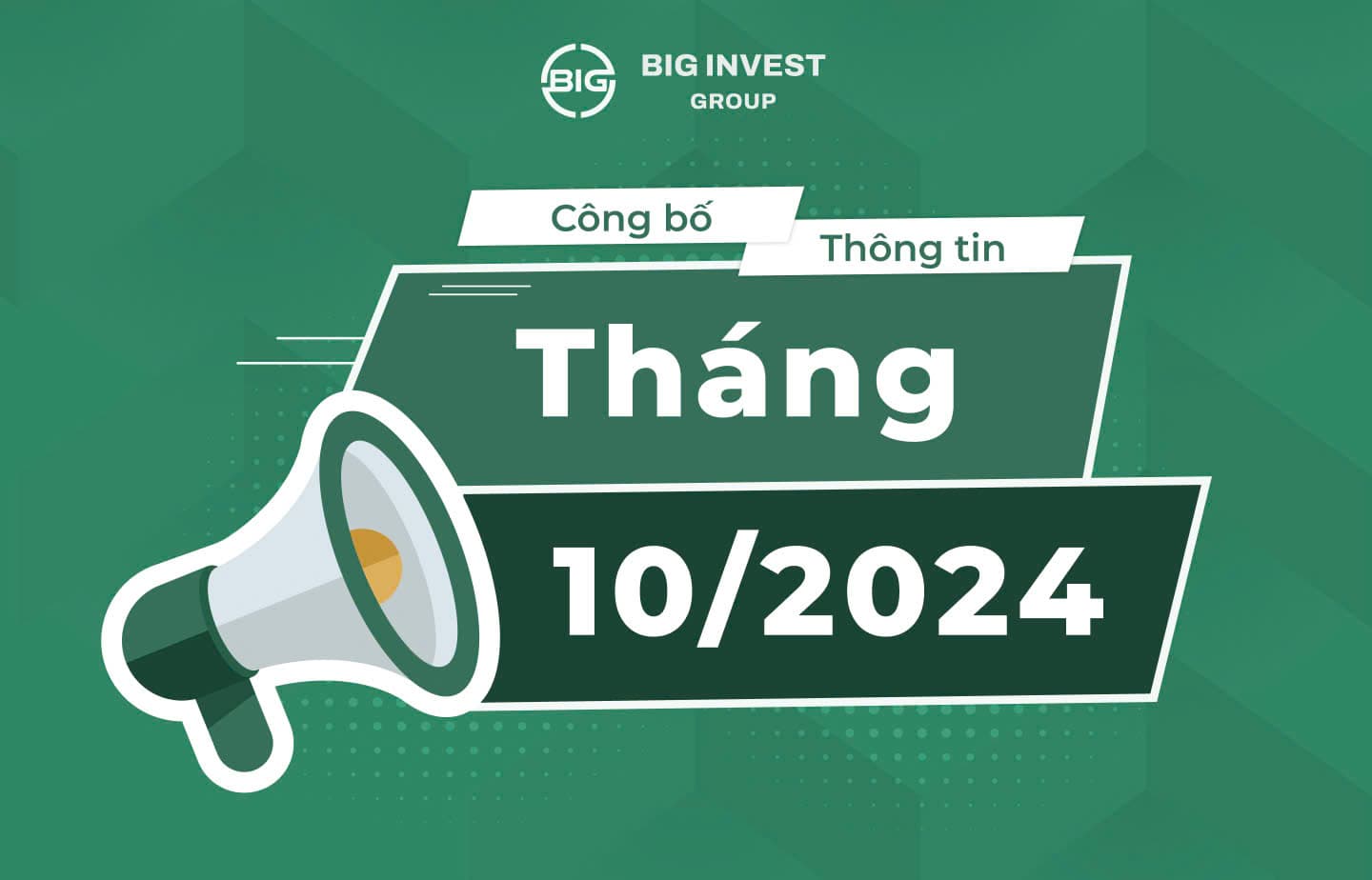 CÔNG BỐ THÔNG TIN CÔNG TY BIG GROUP THÁNG 10/2024